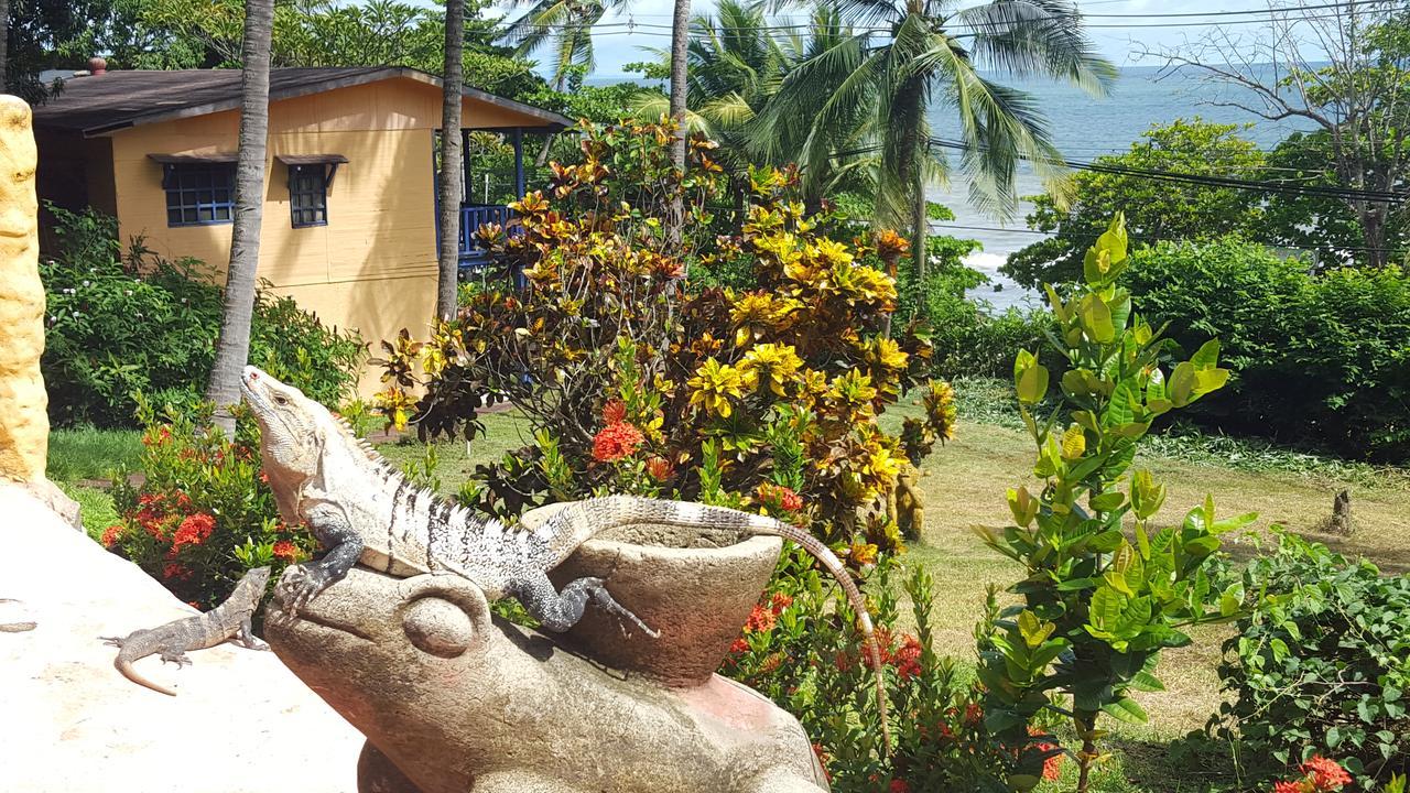Hotel Los Mangos Montezuma Exteriér fotografie